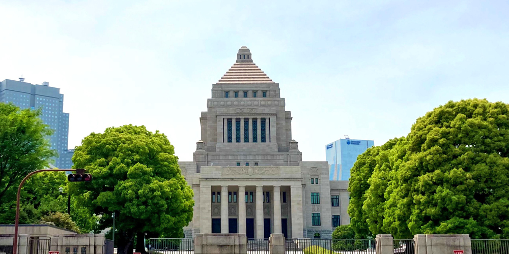 選挙に関するお祝い胡蝶蘭