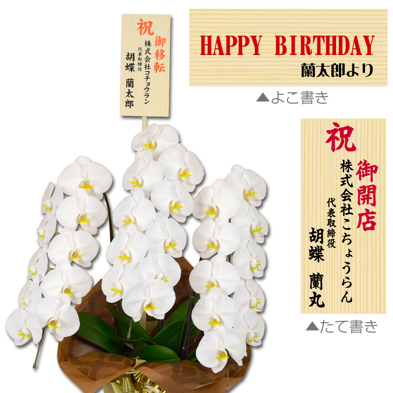 開店祝い・就任祝いに目立つ胡蝶蘭3本立ち専用の『飛び出す木札』設置イメージ