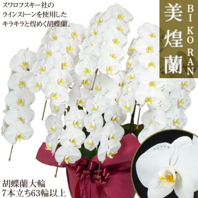 美煌蘭 スワロフスキーを施した胡蝶蘭【営業日昼12時迄の注文で 美煌蘭 スワロフスキーを施した胡蝶蘭【営業日昼12時迄の注文で