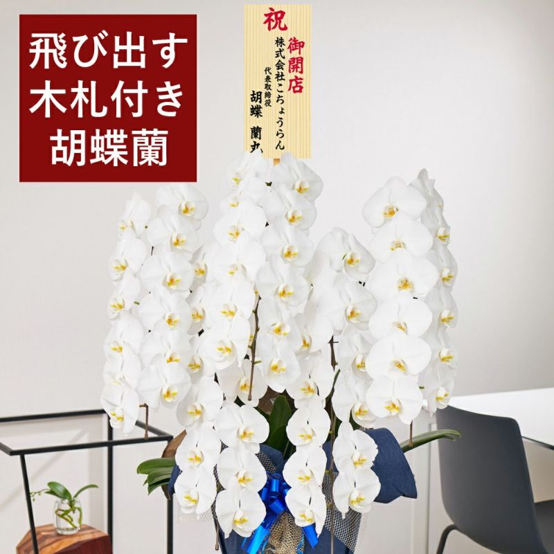 感謝sale 4万円コース 税抜 飛び出す木札付き 胡蝶蘭 大輪5本立ち 65輪以上 つぼみ込み つぼみ多め 佐川急便 胡蝶蘭専門店 はなやか 感謝sale 4万円コース 税抜 飛び出す木札付き 胡蝶蘭 大輪5本立ち 65輪以上 つぼみ込み つぼみ多め 佐川急便 胡蝶蘭専門店 はなやか