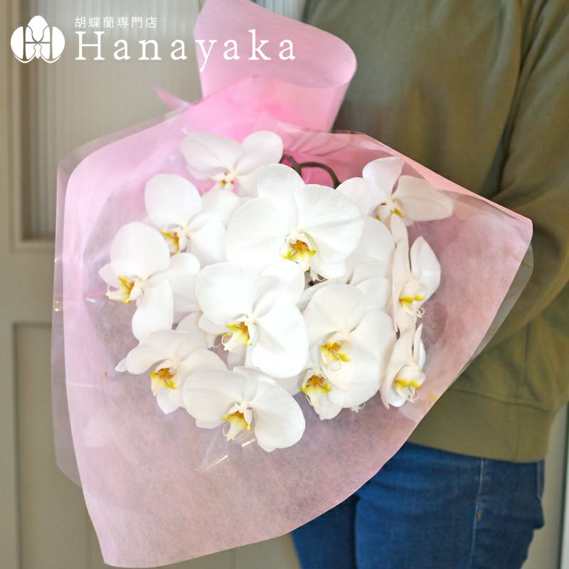 胡蝶蘭の切り花のご購入はこちら（はなやか本店）